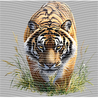 Animal Integration-DW 1805